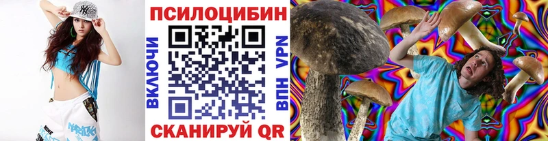 закладки  дарк нет официальный сайт  Псилоцибиновые грибы Psilocybe  Родники 
