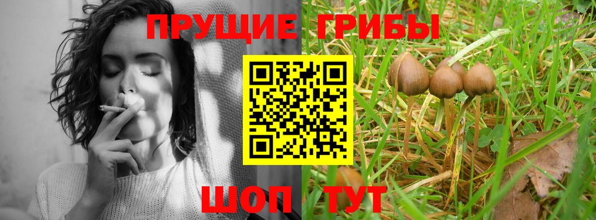 Галлюциногенные грибы мицелий Родники